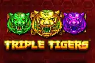 Tripel Tigers